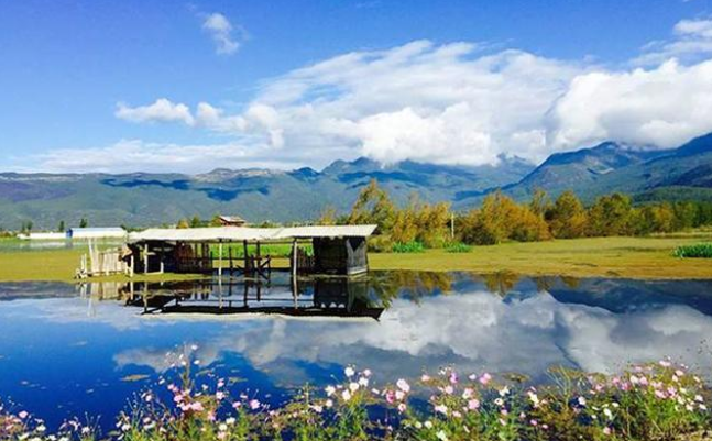 1648092378812184.png image.png