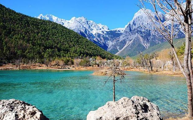 1648092424960685.png image.png